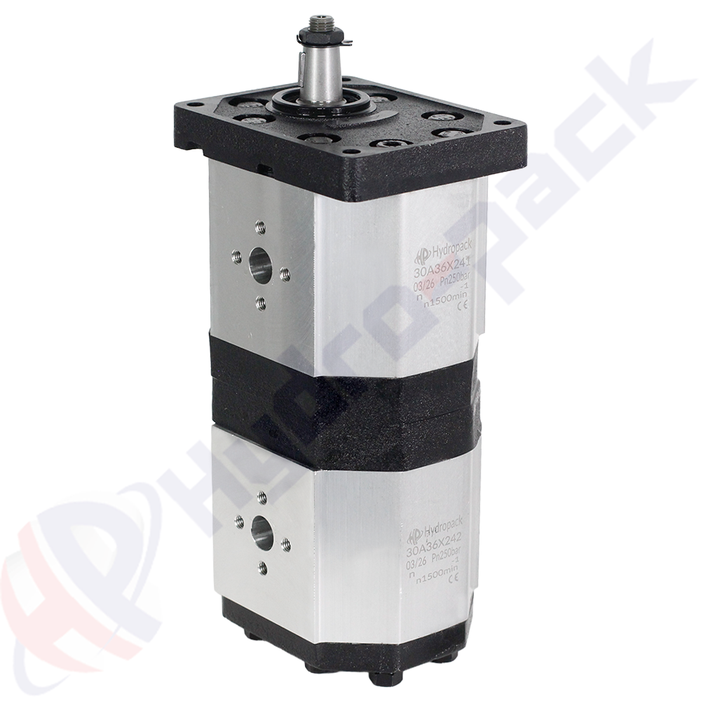 33A55X241/42X242 Group 30+30 Tandem Pump
